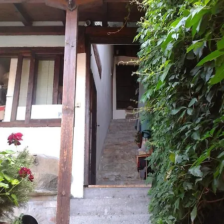 Gasthof Pashov *