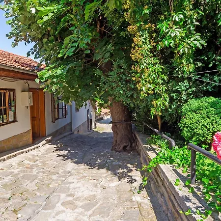 Gasthof Pashov *