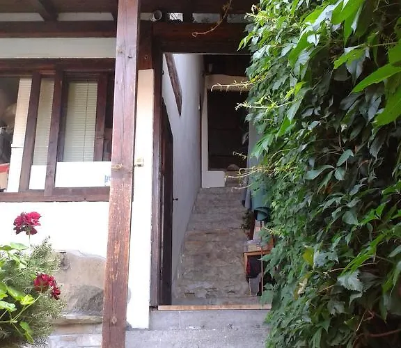 Guest house Pashov *