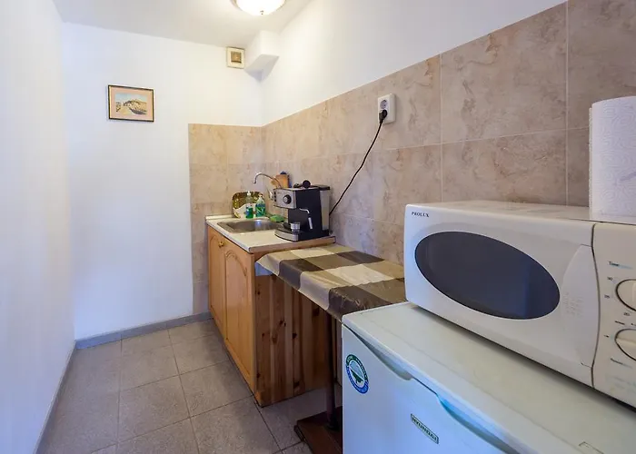 Pashov * Veliko Tarnovo