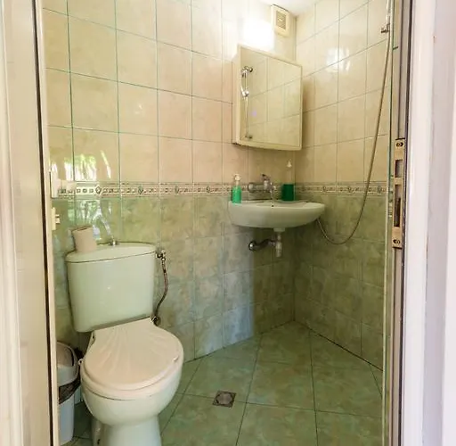 Pashov Guest house *