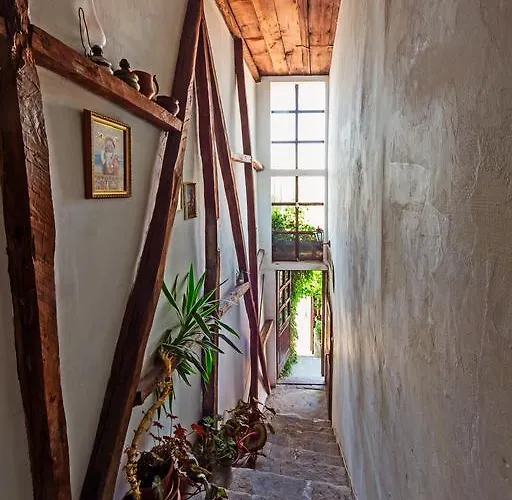 Pashov Guest house *